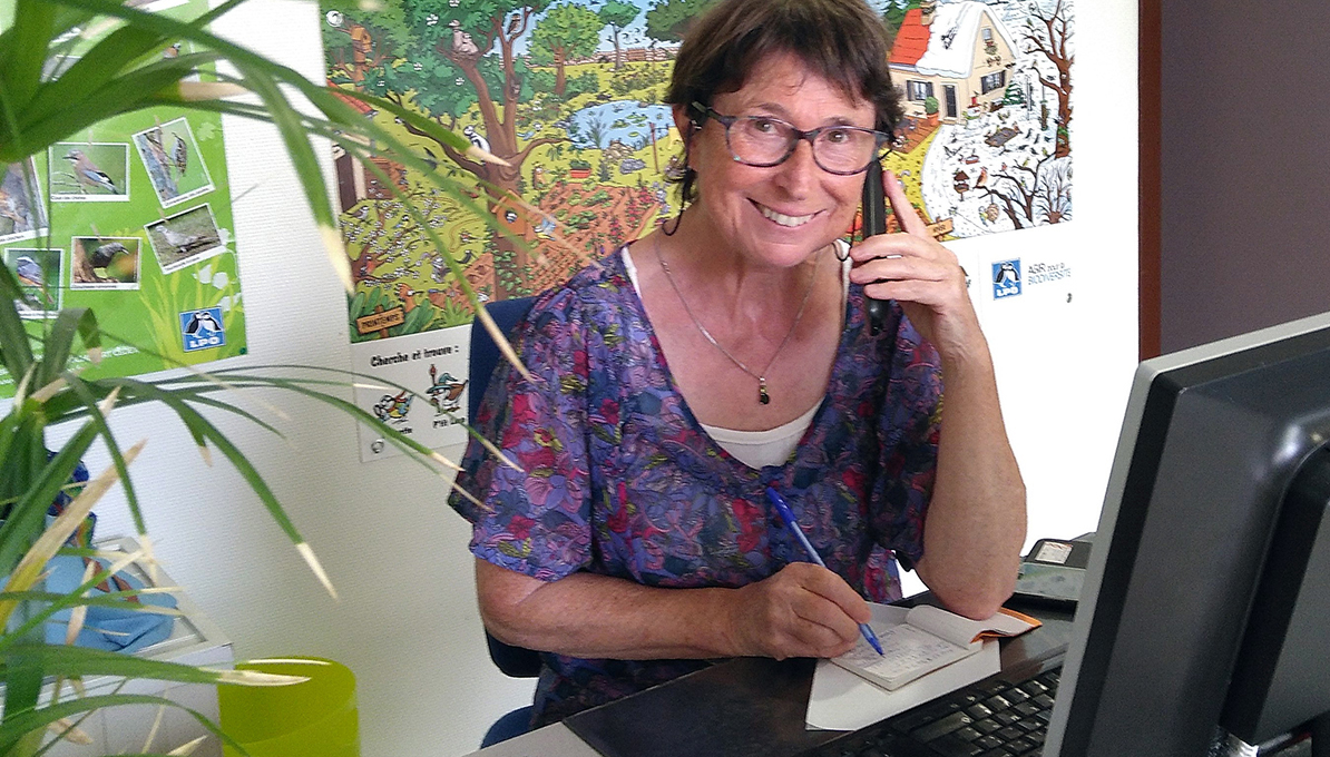 Visioconférence : Prise en main des bases de données naturalistes